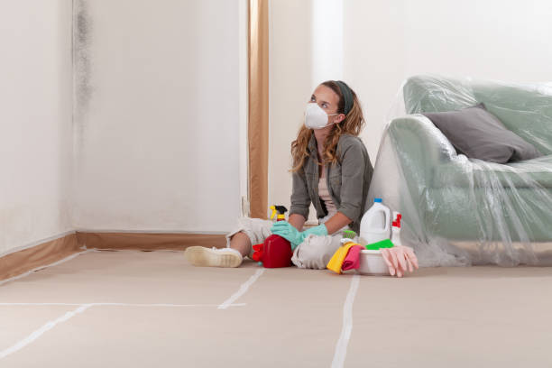 Reliable Mold Cleanup contractor in New Market, MD by WQB Mold Removal